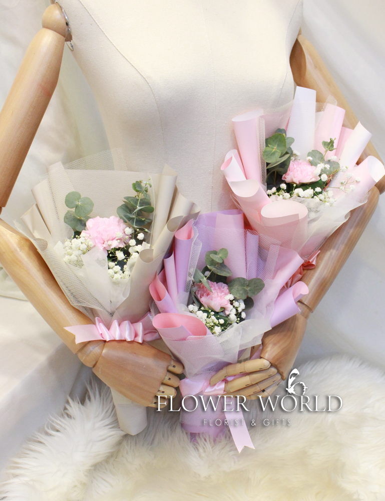 Single Pastel Carnation Bouquet Set of Three