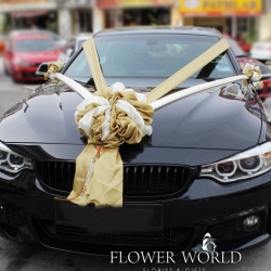 Bridal Car Decoration
