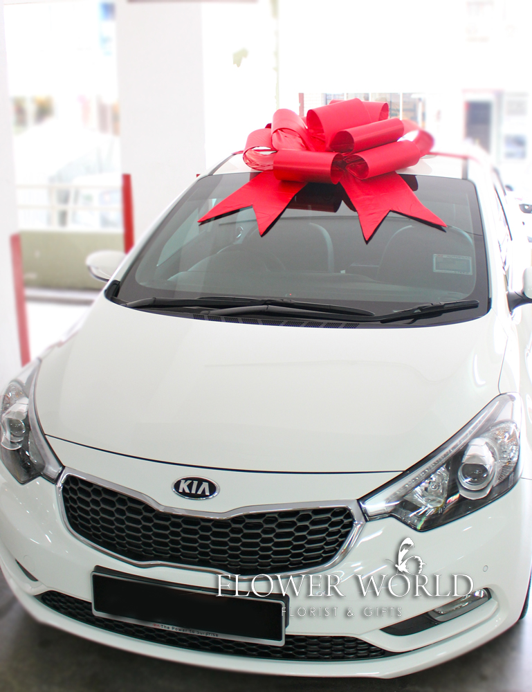 Ribbons for Car Present Bows Big Ribbons Car Gifts Car Ribbons