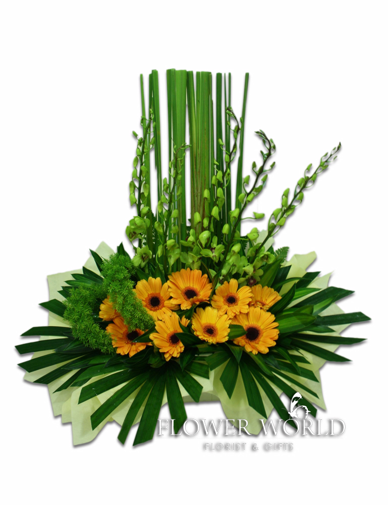 Daisies Orange Daisies Orange Flower Basket Orchids Green