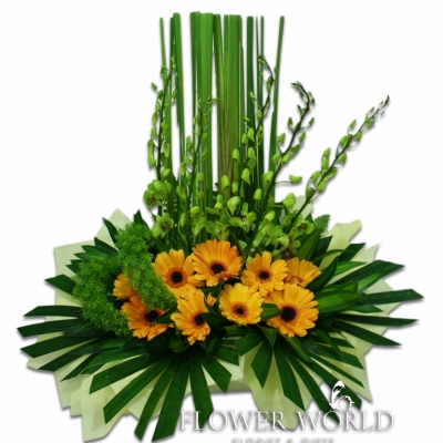 Daisies and Orchid Flower Basket