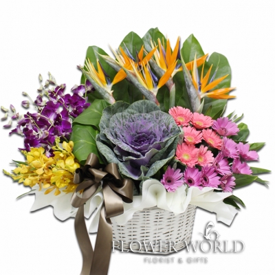 Cabbage Flower Basket