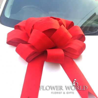 Car Ribbon Decoration