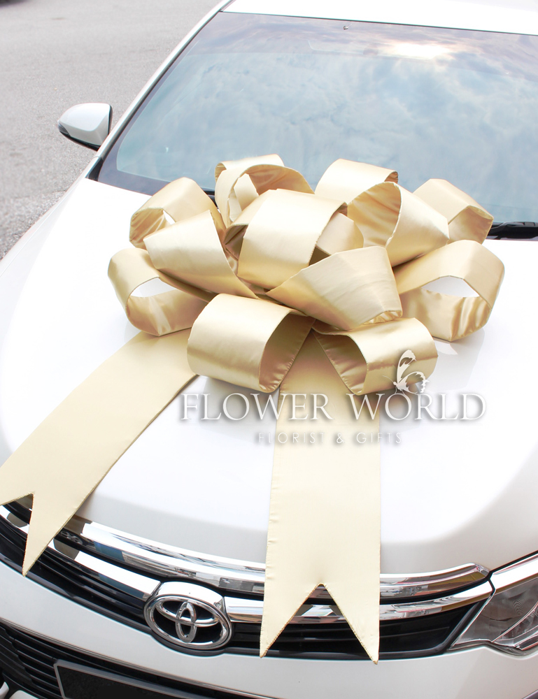 Car Ribbons Big Ribbons Display Cars Ribbons for Cars Showroom